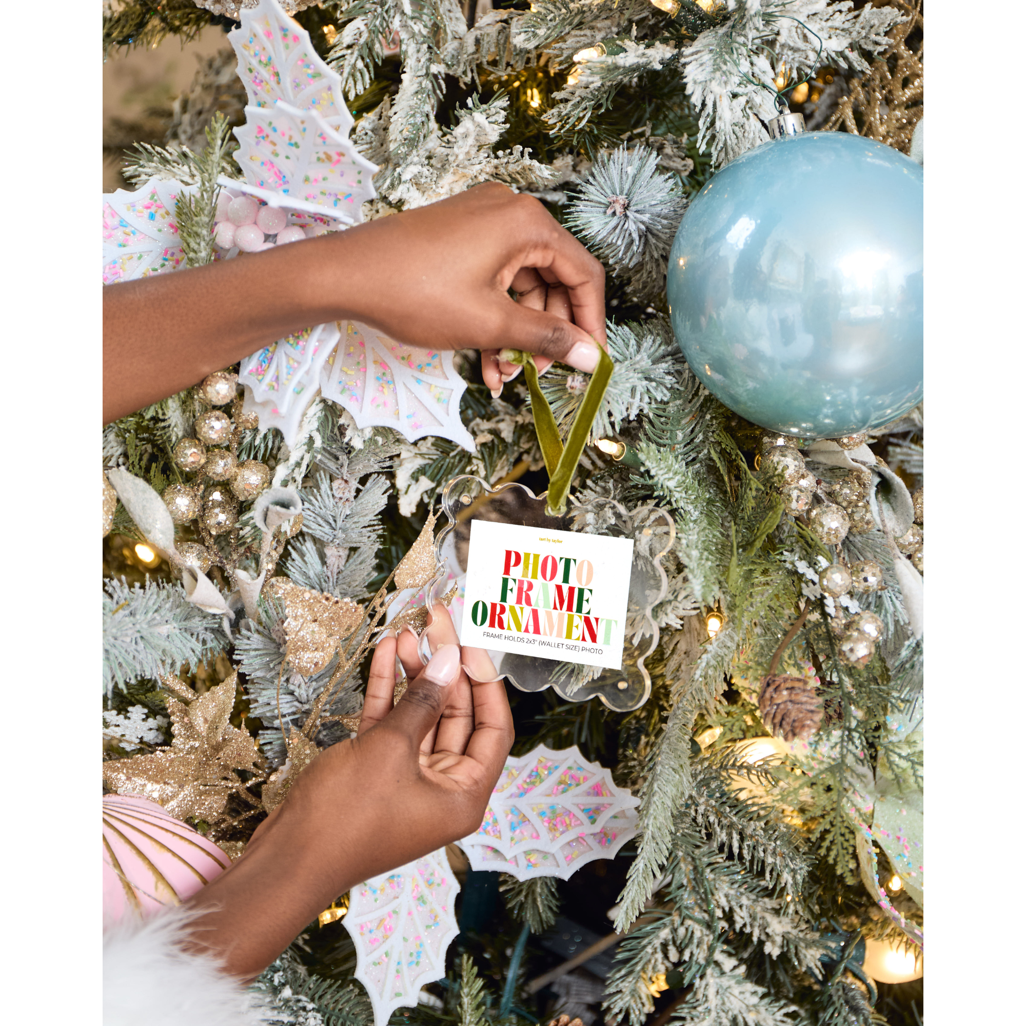 Clear Frame Ornament