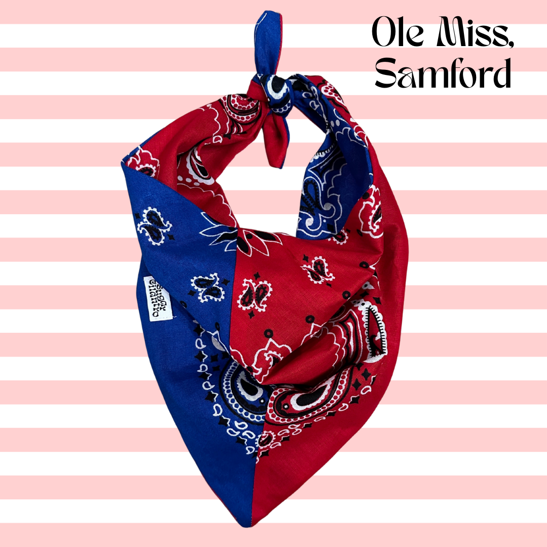 Handmade Custom Colorblocked Gameday Bandana: Red / Pink