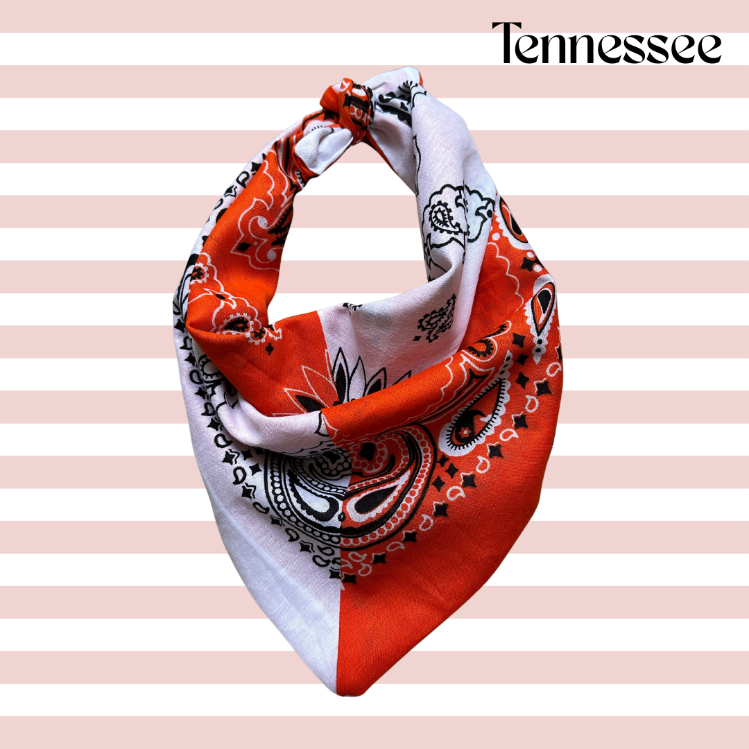 Handmade Custom Colorblocked Gameday Bandana: Black / Red