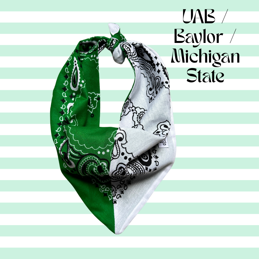 Handmade Custom Colorblocked Gameday Bandana: Red / Pink