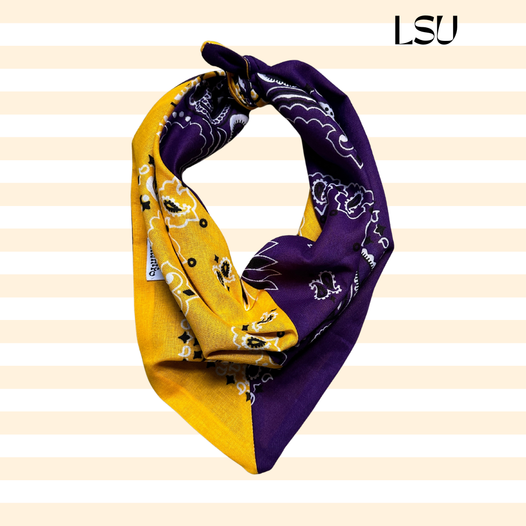 Handmade Custom Colorblocked Gameday Bandana: Black / Red