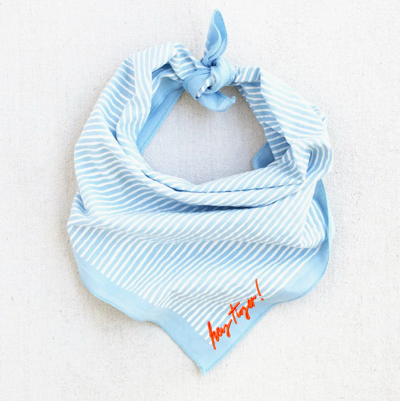 Light Blue Stripe Bandana