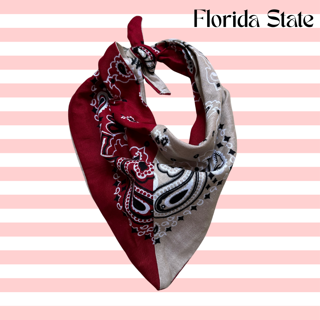 Handmade Custom Colorblocked Gameday Bandana: Black / Red